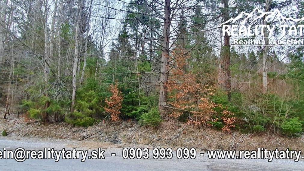 Rekreačný pozemok v lokalite Zahájnica 2700 m2 - Pekné tiché prostredie v lese - ODPORÚČAME !!!