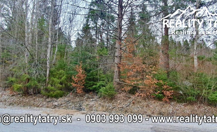 Rekreačný pozemok v lokalite Zahájnica 2700 m2 - Pekné tiché prostredie v lese - ODPORÚČAME !!! - fotografia 1